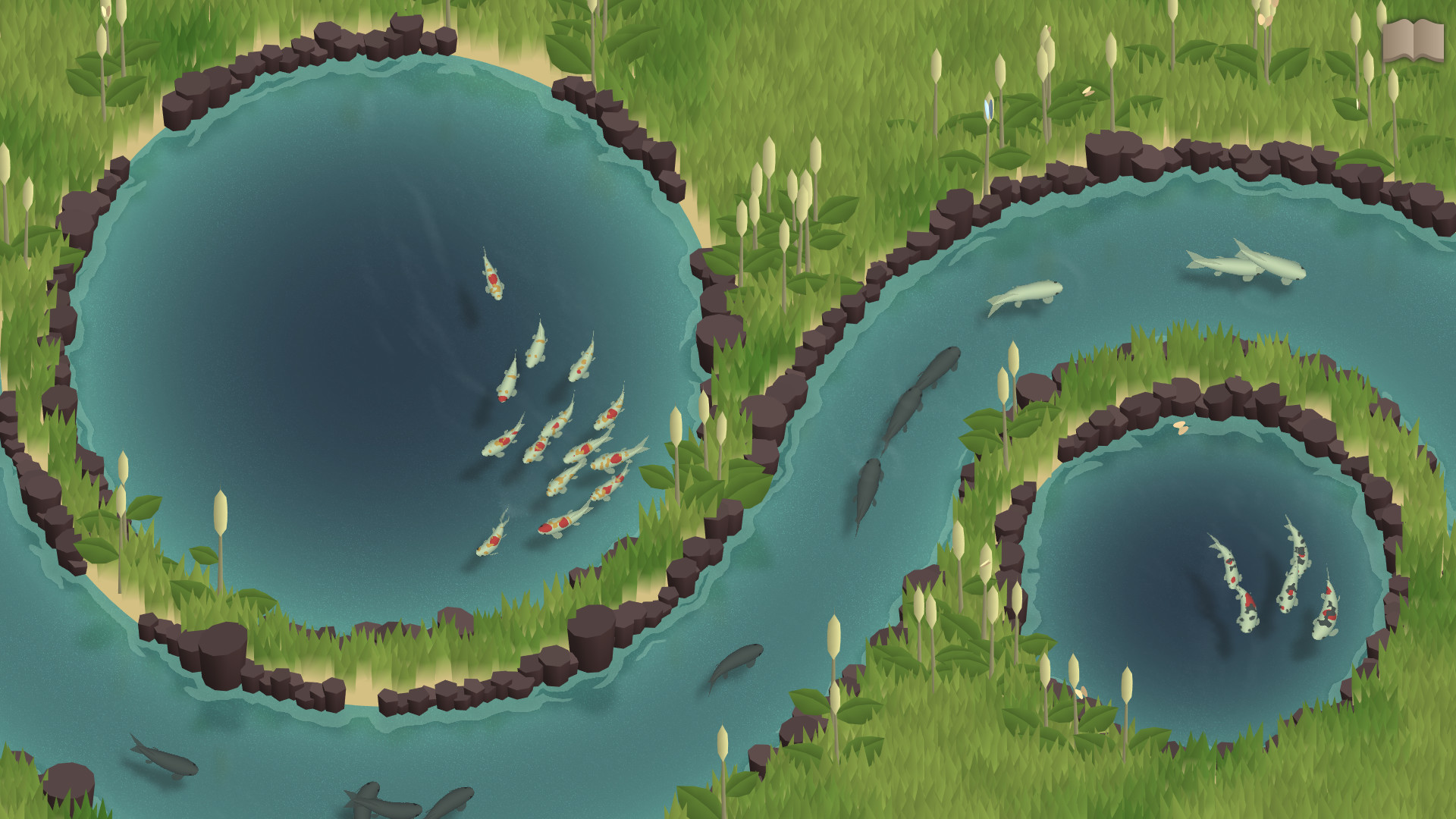 Koi Farm